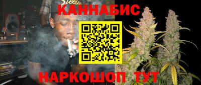 спиды Моздок